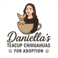 Daniellas Teacup Puppies