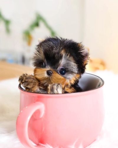 845149eb728fe8c7b0a9fb8bd28f3b8f